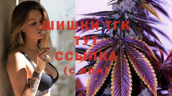 прущий лед Горно-Алтайск