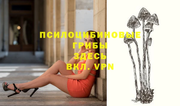 стафф Горняк