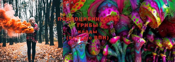 прущий лед Горно-Алтайск