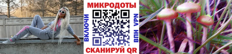 blacksprut зеркало  Ачхой-Мартан  нарко площадка наркотические препараты  Галлюциногенные грибы Psilocybe 