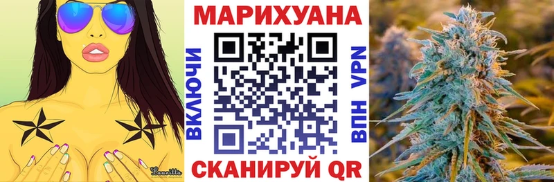 МАРИХУАНА план  где найти   Ачхой-Мартан 